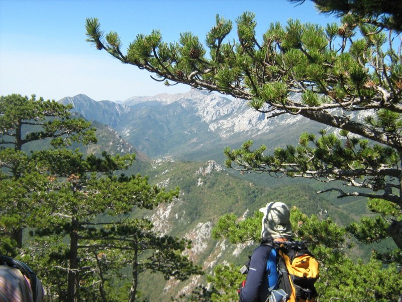 Velebitski prutaši 09.09.2012.