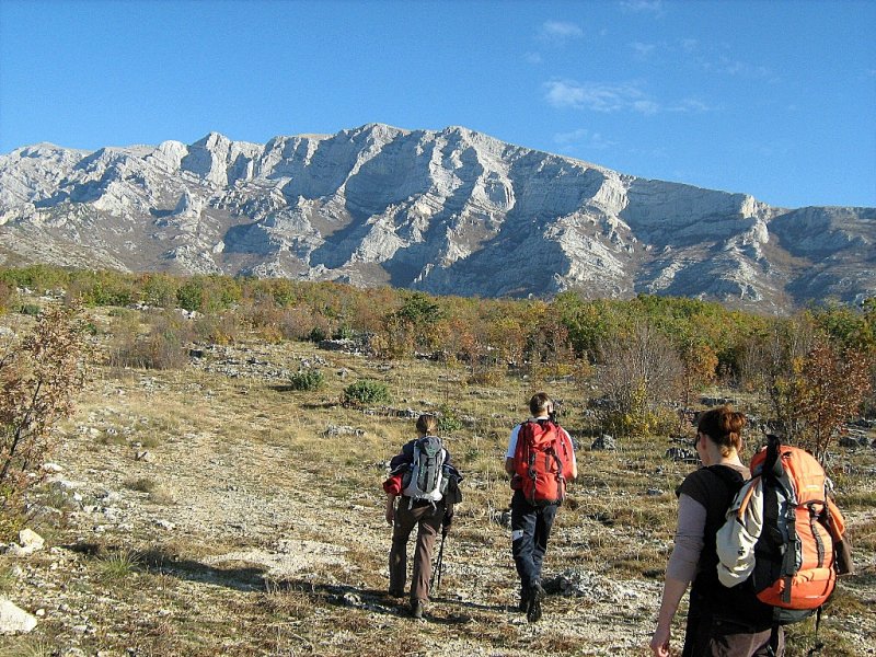 Samogradski kuk 16.11.2012.