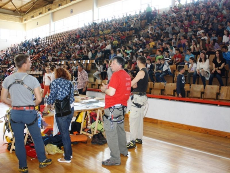 Projekt Ulica i alternativa